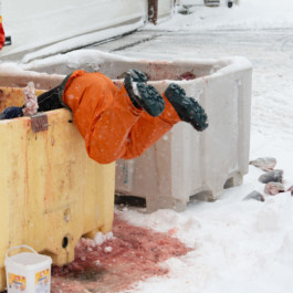  Aurora Haaland Stenersen