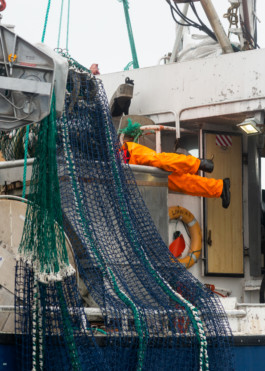  Aurora Haaland Stenersen