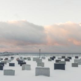  Aurora Haaland Stenersen