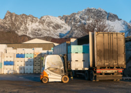  Aurora Haaland Stenersen