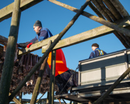  Aurora Haaland Stenersen