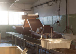  Aurora Haaland Stenersen