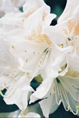  Aurora Haaland Stenersen