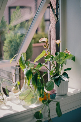  Aurora Haaland Stenersen