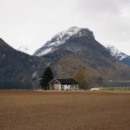 Aurora Haaland Stenersen