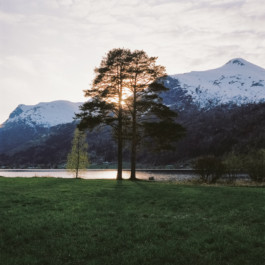 Aurora Haaland Stenersen