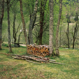 Aurora Haaland Stenersen