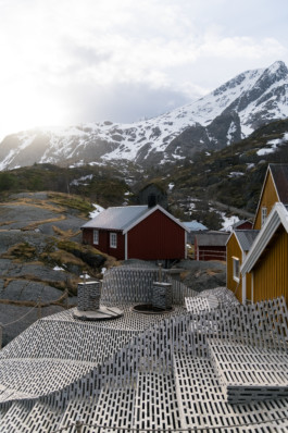  Aurora Haaland Stenersen