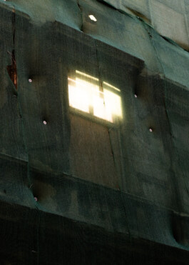  Aurora Haaland Stenersen