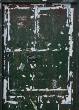  Aurora Haaland Stenersen