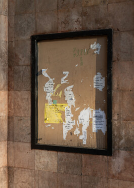  Aurora Haaland Stenersen