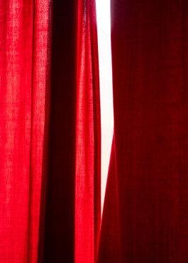  Aurora Haaland Stenersen