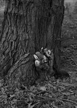  Aurora Haaland Stenersen